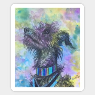 Rainbow scruffy Lurcher Sticker